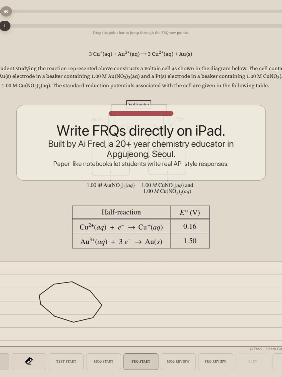 iPad FRQ writing workspace